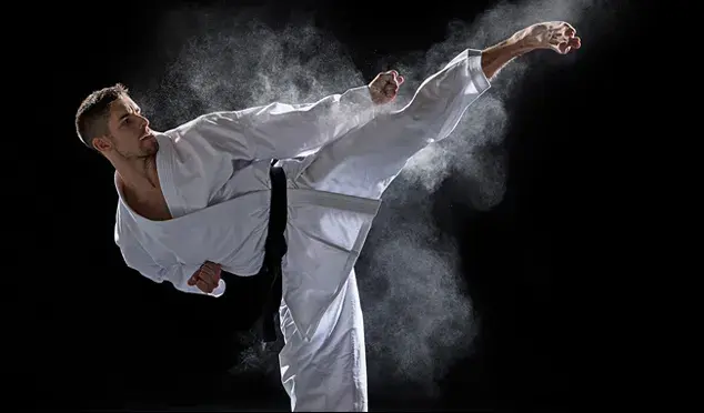 martial-arts-mma-305618-1753337384